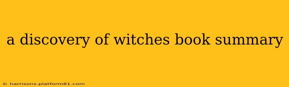 a discovery of witches book summary