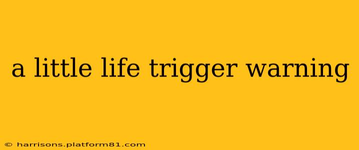 a little life trigger warning