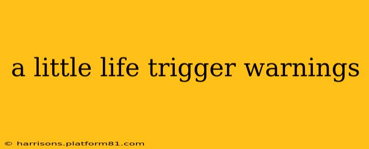 a little life trigger warnings