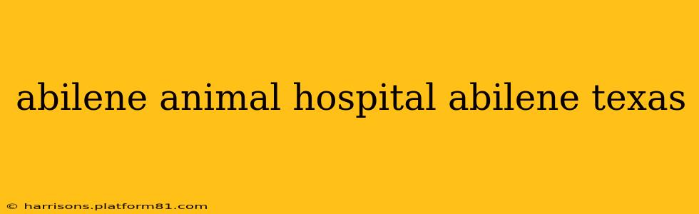 abilene animal hospital abilene texas