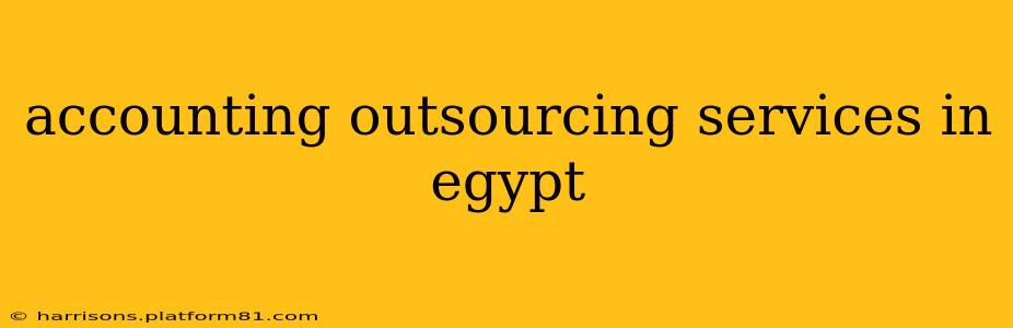 accounting outsourcing services in egypt