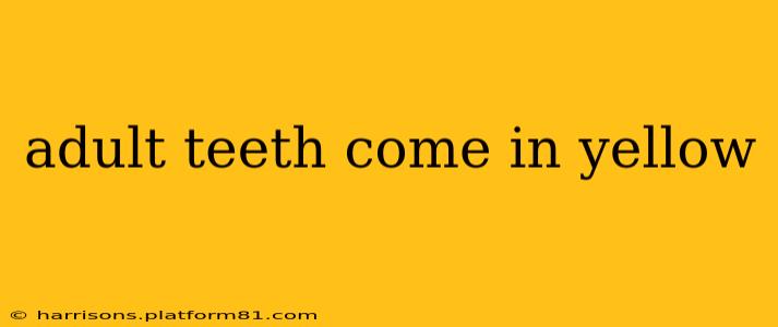 adult teeth come in yellow