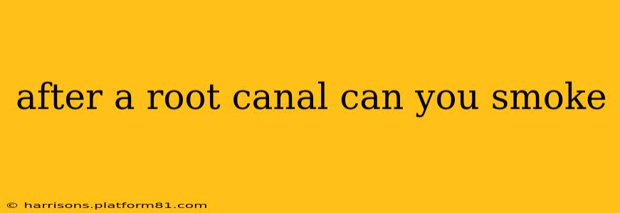 after a root canal can you smoke
