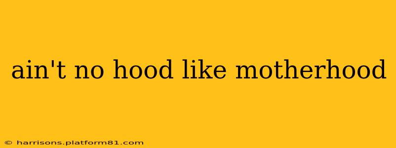 ain't no hood like motherhood