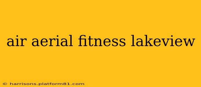 air aerial fitness lakeview