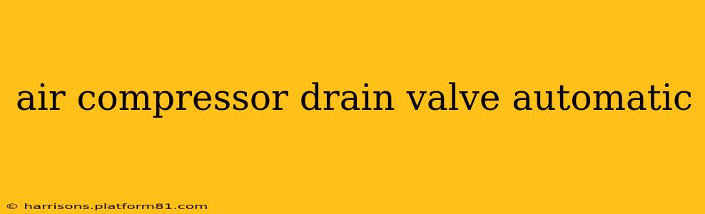 air compressor drain valve automatic