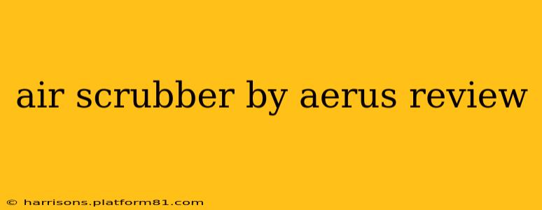air scrubber by aerus review