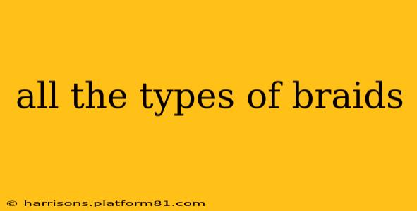 all the types of braids