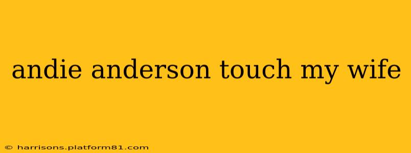 andie anderson touch my wife