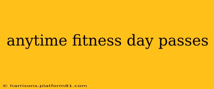 anytime fitness day passes