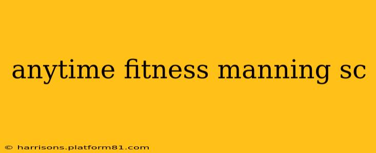 anytime fitness manning sc