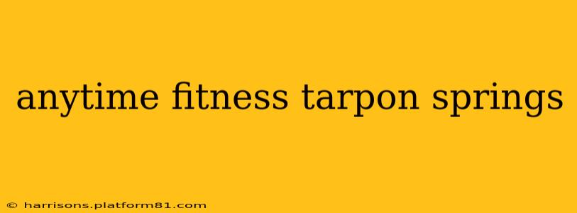 anytime fitness tarpon springs
