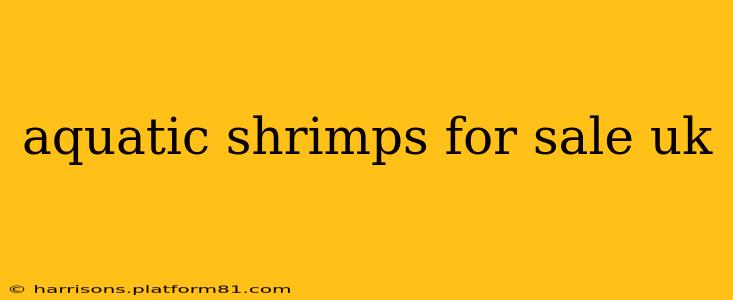 aquatic shrimps for sale uk