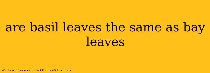 are basil leaves the same as bay leaves