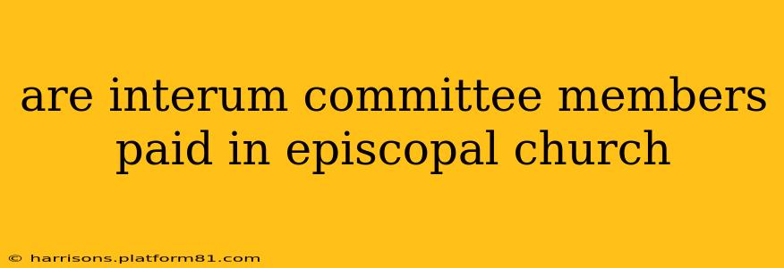 are interum committee members paid in episcopal church