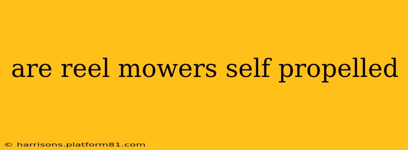 are reel mowers self propelled