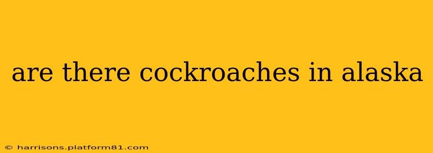 are there cockroaches in alaska