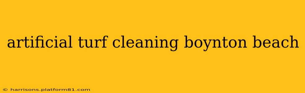 artificial turf cleaning boynton beach