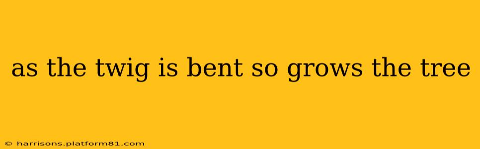 as the twig is bent so grows the tree
