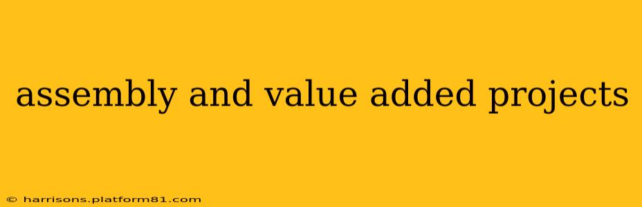 assembly and value added projects
