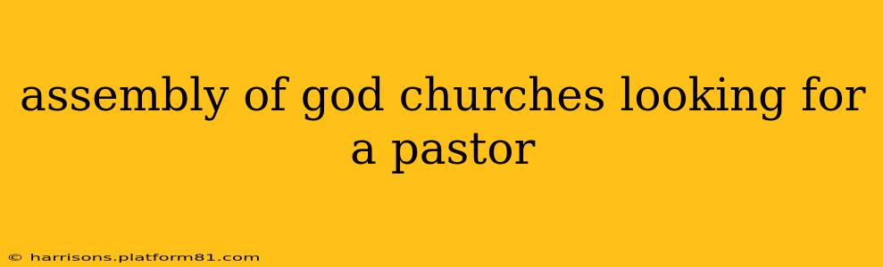 assembly of god churches looking for a pastor
