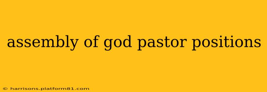 assembly of god pastor positions