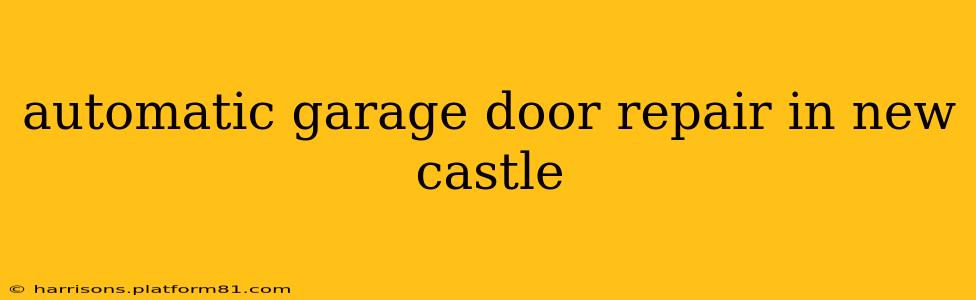 automatic garage door repair in new castle