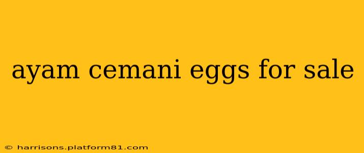 ayam cemani eggs for sale
