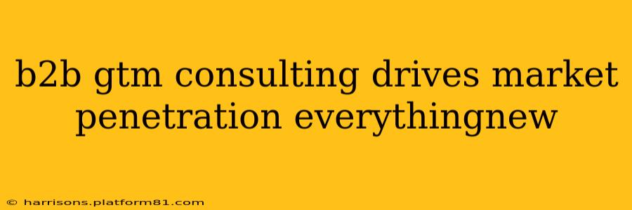 b2b gtm consulting drives market penetration everythingnew