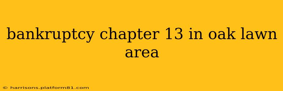 bankruptcy chapter 13 in oak lawn area