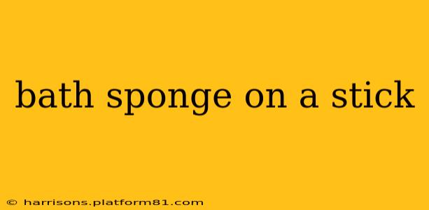 bath sponge on a stick