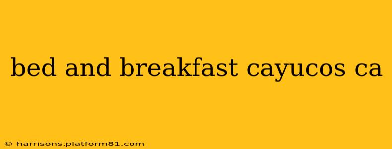 bed and breakfast cayucos ca