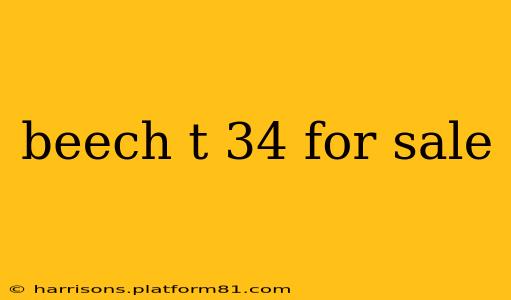 beech t 34 for sale