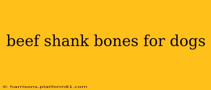 beef shank bones for dogs