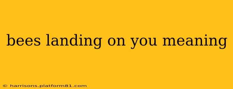 bees landing on you meaning