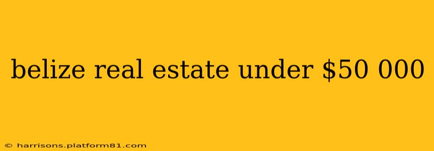 belize real estate under $50 000