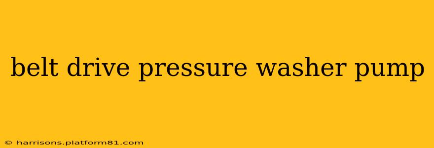 belt drive pressure washer pump