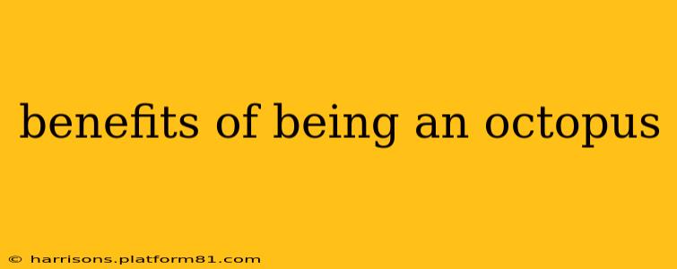 benefits of being an octopus