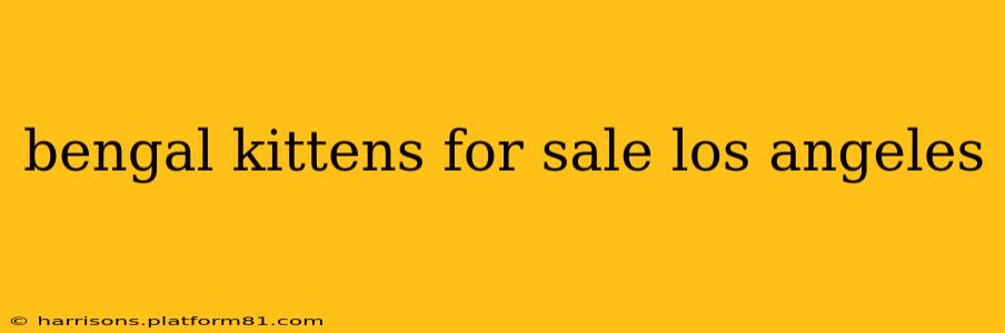 bengal kittens for sale los angeles