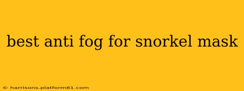 best anti fog for snorkel mask