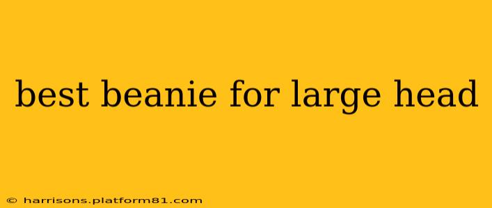 best beanie for large head