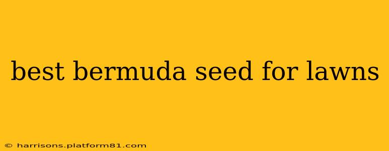 best bermuda seed for lawns