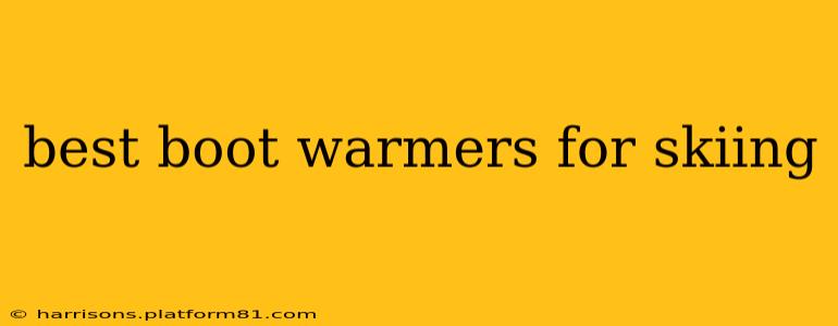 best boot warmers for skiing