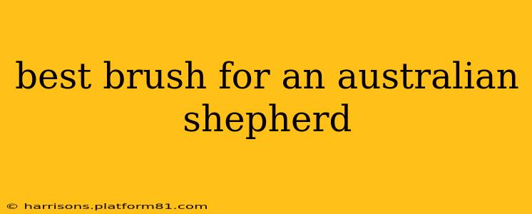 best brush for an australian shepherd