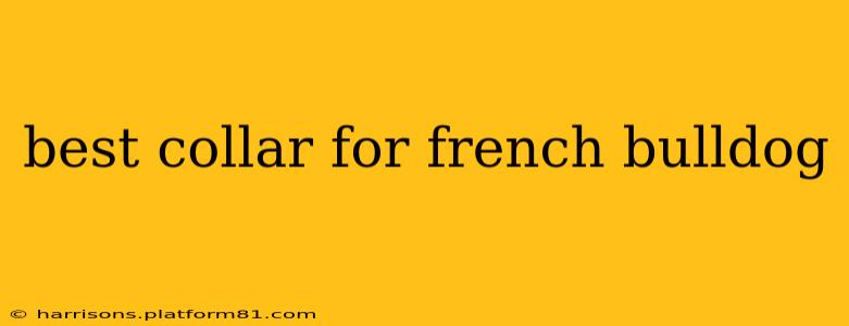 best collar for french bulldog