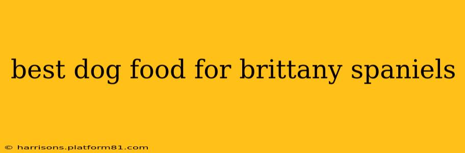 best dog food for brittany spaniels
