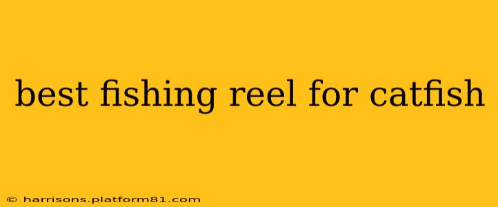 best fishing reel for catfish