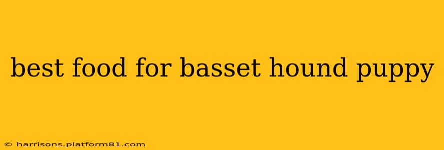 best food for basset hound puppy