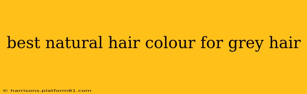 best natural hair colour for grey hair