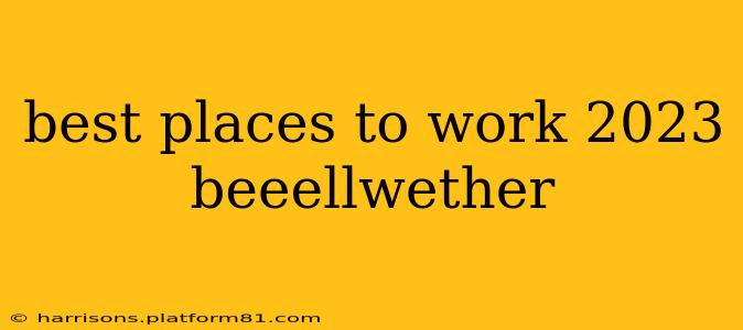 best places to work 2023 beeellwether